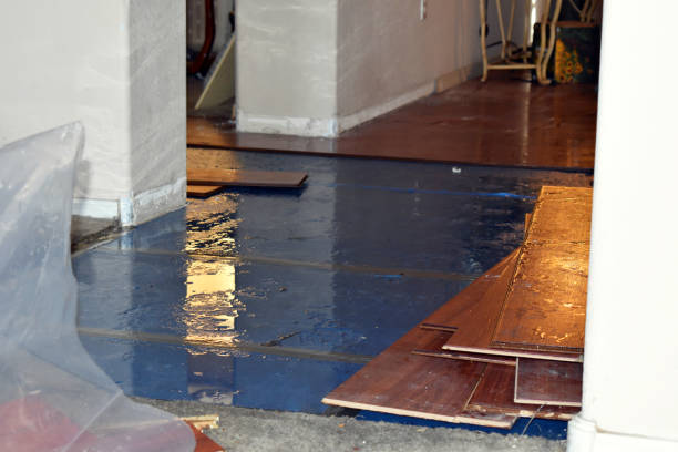 Professional Water Damage Restoration technician working in Milton, FL